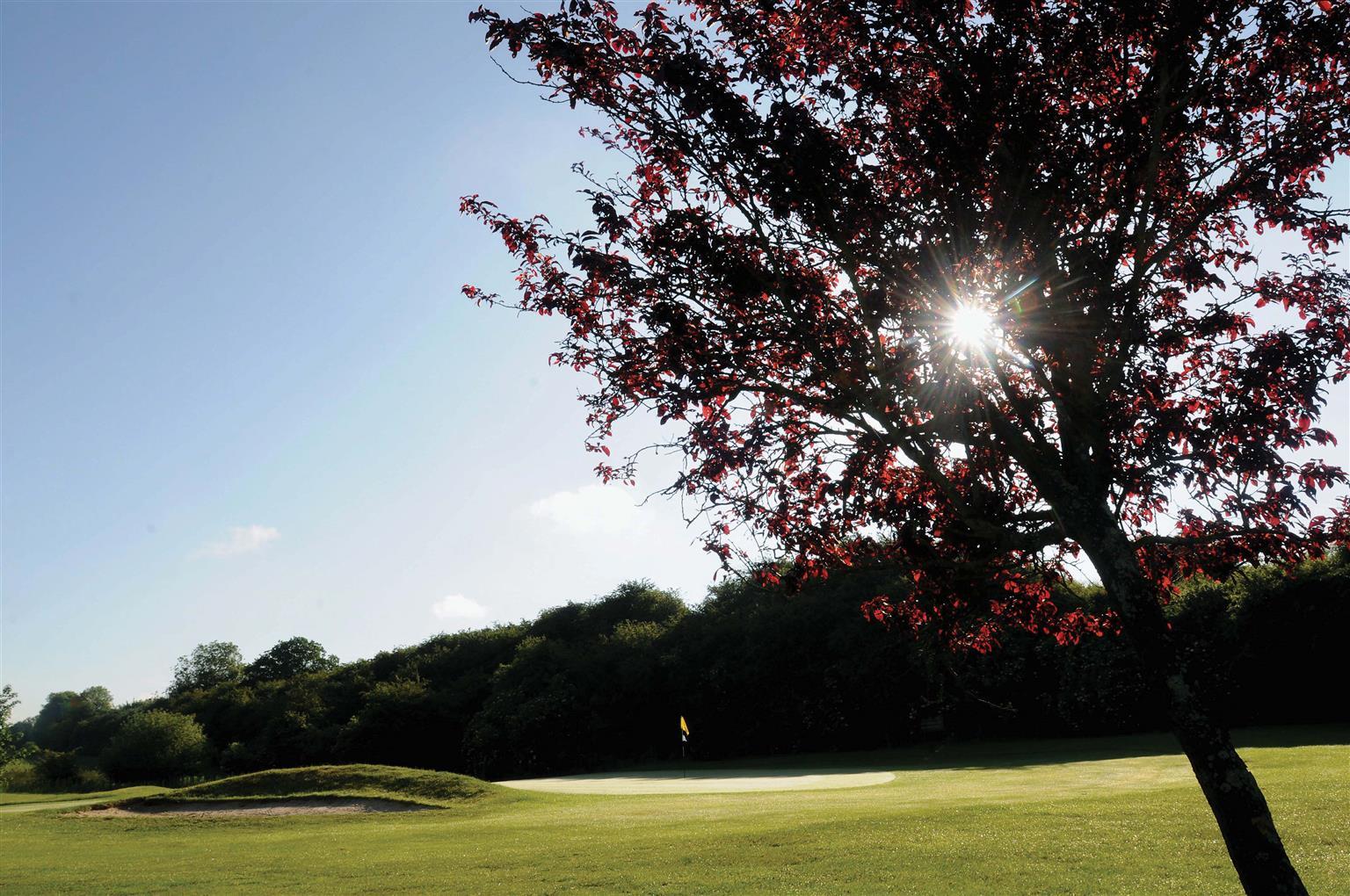 Best Western Plus Ullesthorpe Court Hotel & Golf Club Lutterworth Udogodnienia zdjęcie